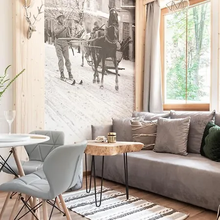 Villowe - Centrum Apartament