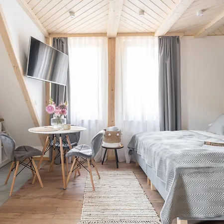 Villowe - Centrum * Zakopane