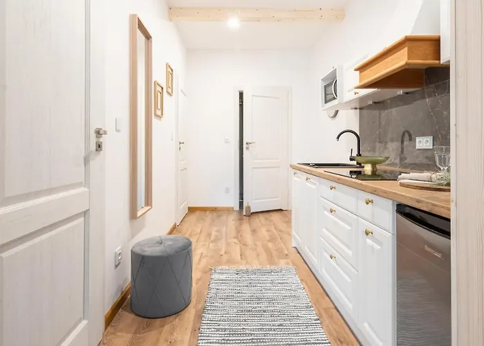 Villowe - Centrum ザコパネ